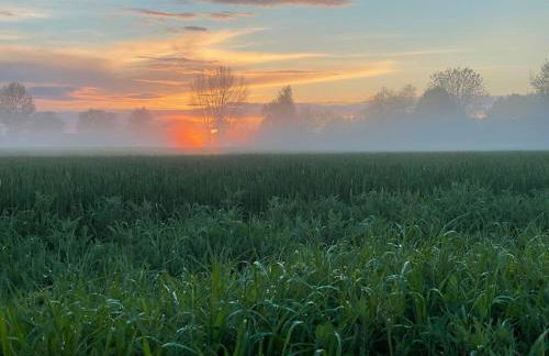 Ferienwohnung EINS Hof Himmelgrün - Foto 12