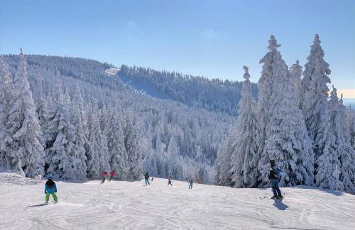 Panorama Bayerwald - Foto 31