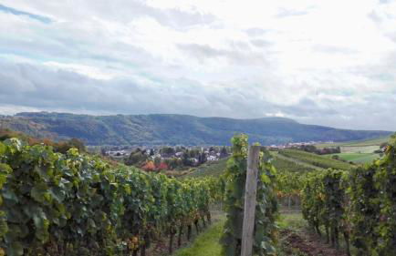 Wanderglück Rotenfels - Foto 14