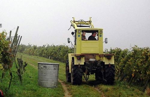 Family-Friendly Apartment - Foto 33