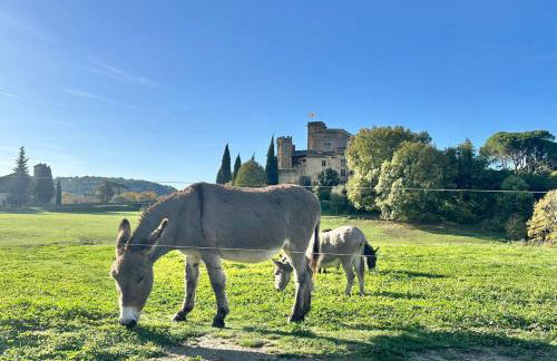 Duplex Atelier / coeur de Lourmarin - Photo 27