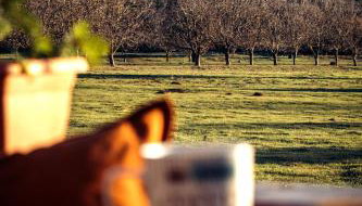 The Rancho Relaxo - Foto 2