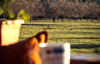 The Rancho Relaxo - Foto 2