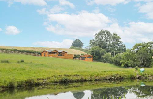 Manor Farm Lodges - Dragon Lodge - Foto 22