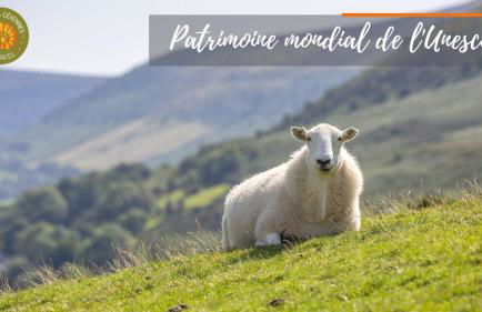 Alberguiere - Piscine chauffée - plancha - barbecue - Foto 13