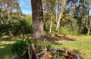 Cabana Vale Matutu - Foto 27