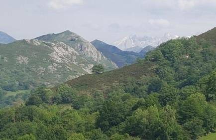 Apartamentos La Guertina - Foto 5