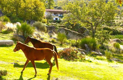 Quinta Do Marvao - Photo 24