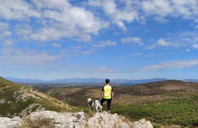 Mas Ramades - Foto 24