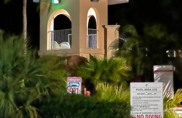 Vashay's Lovely vacation pad at Disney - Foto 17