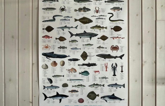 6-person Holiday Home Rubbestadneset - Foto 17