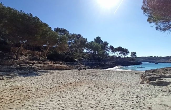 Burgit in Santa y With 2 Bedrooms and 1 Bathrooms - Foto 25