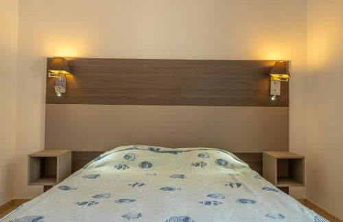 Résidence Odalys San Martinu - Foto 33