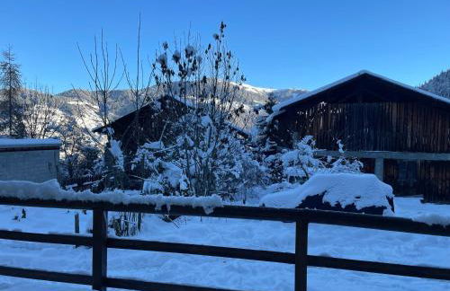 Chalet Muguet - Centre of Village location! - Foto 35