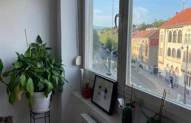 Spacious 3BR/2BT Apartment with A/C in City Center - Photo 20