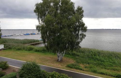 Ferienwohnung direkt am Steinhuder Meer - Foto 44