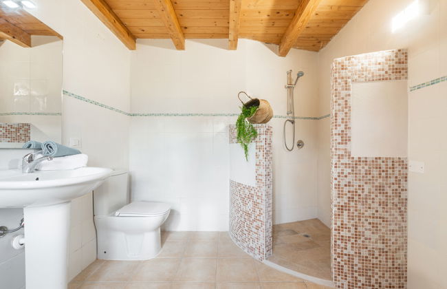 Eucalipto - Photo 22