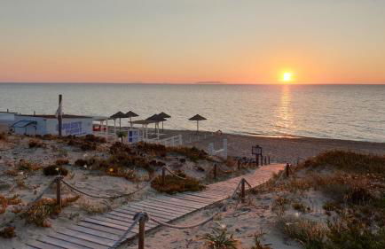 Dimora Mimosa - Baia Delle Mimose - Foto 30