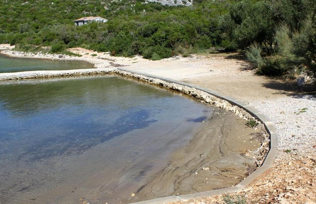 Peaceful 2-bedroom Robinson House Orca - Photo 19