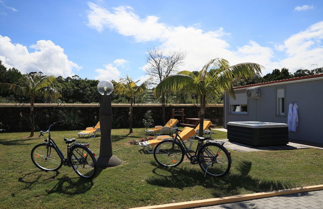 Parrots Village - Foto 27