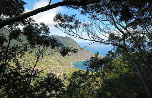 Terra Batista house - Photo 27