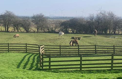 Stunning Barn Conversion next to Horse Field sleeps 10 - Foto 15