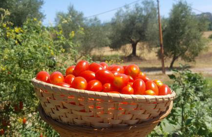 Glamping & Residence IL Villaggio del Re - Foto 45