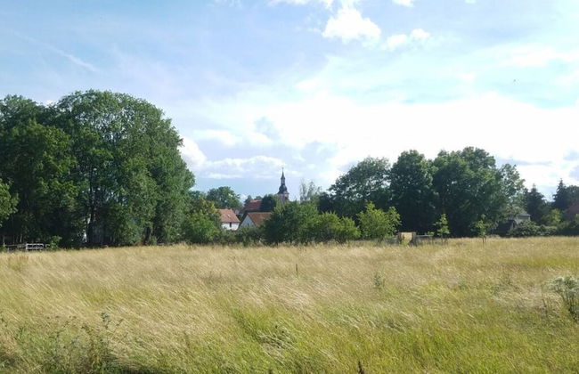 Zonnehof in het Geiseltal - Foto 26