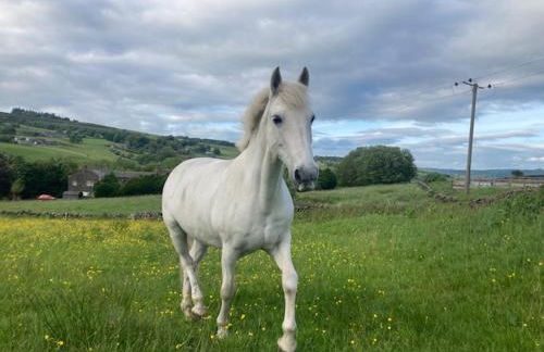 Royds Hall Cottage - Foto 18