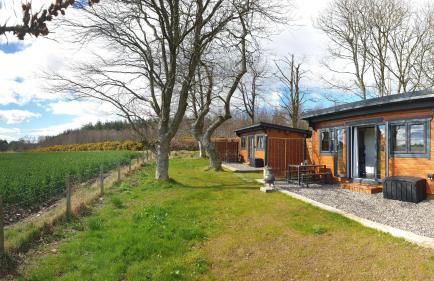 The Cabins at Redroofs - Photo 32