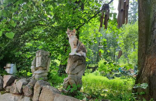 Za Siódmą Górą - Foto 17