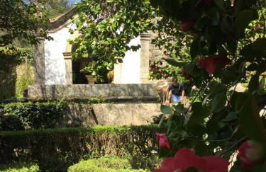 Quinta da Porta - Solar de Vale de Prazeres - Foto 15