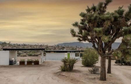 Desert Diamond- Joshua Tree Cowboy Pool and Spa - Foto 15