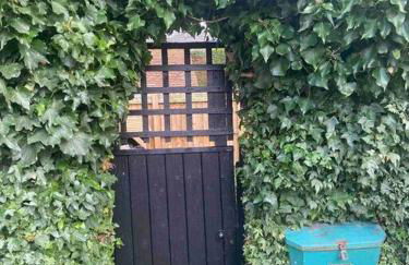 The Nutshell - Foto 22