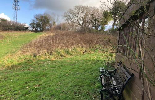 Stags View,Unique eco cabin, Dartmoor views - Foto 12