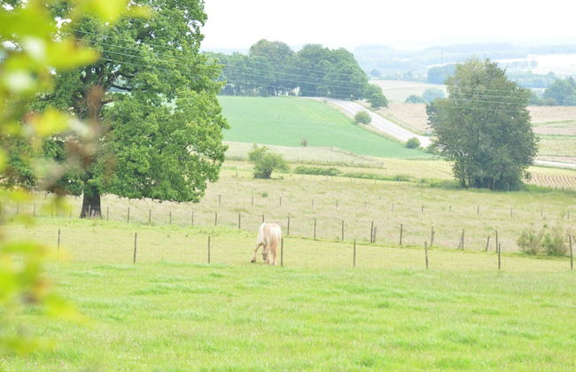 Cozy Farmhouse Near Houffalize - Photo 25