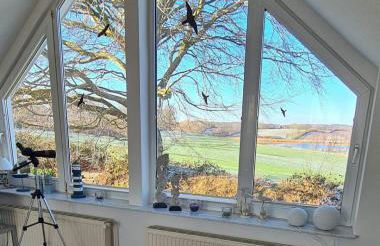 Ferienhaus Schlie-Kieker - Foto 24