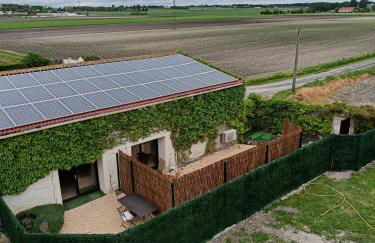 domaine de la pirouette - Photo 2