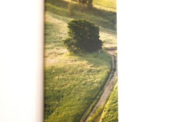 Sobieski Apartments St. Stephen Cathedral - Foto 62