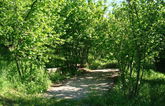 Nice Apartment in Trassenheide - Foto 32