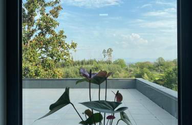 Quintinha Silvestre - Foto 52