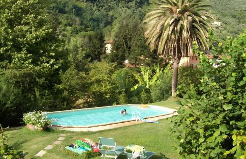 Villa con parco e piscina-Camaiore - Foto 38