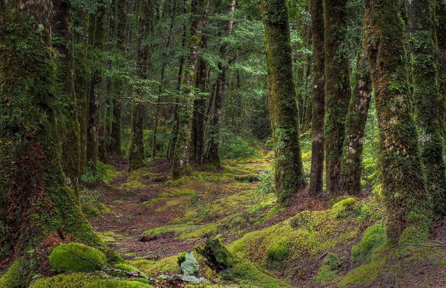 The Lord of the Rings Tour - Photo 7