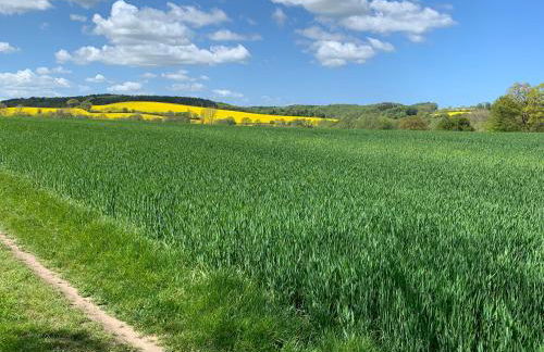 Haus Hamburg Wohnung 2 - Foto 43