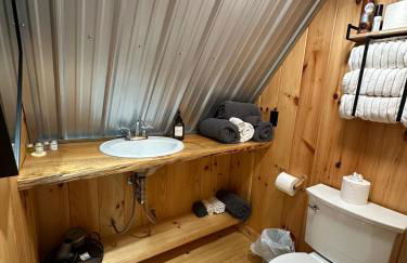 Bearly Behavin - Foto 75