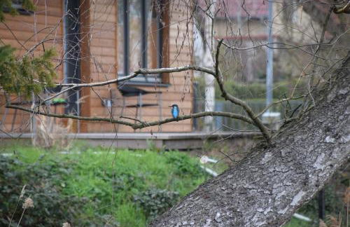 Klein aber fein, Ferienhaus am Tonteich - Photo 10