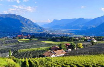 Appartements Villa Fortuna - Foto 66