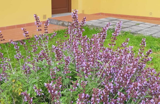 Agriturismo Podere Casalone - Foto 16