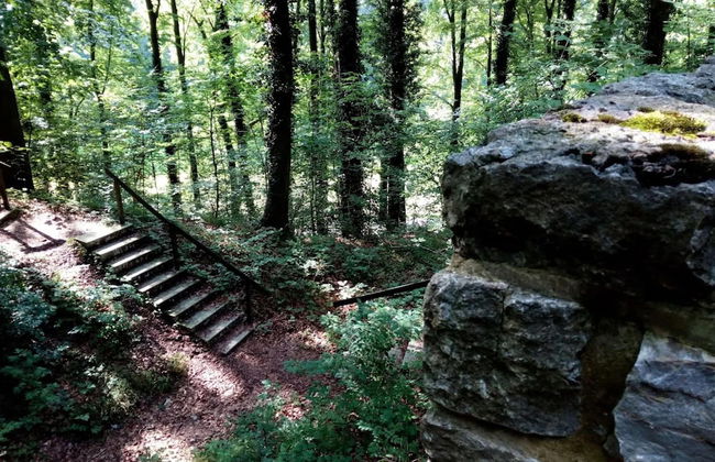 Ferienwohnung in Bissendorf - Foto 30