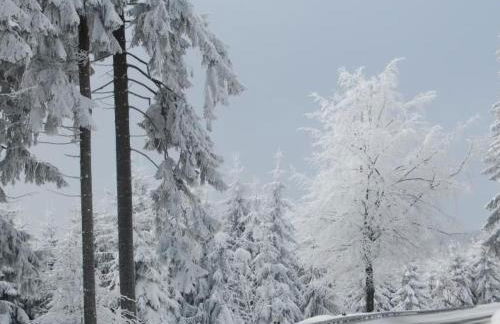 Apartment Landhaus Schneekopf by Interhome - Foto 13